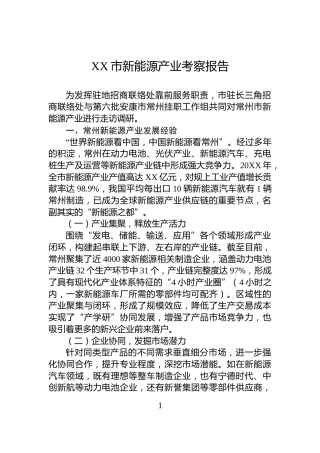 XX市新能源产业考察报告