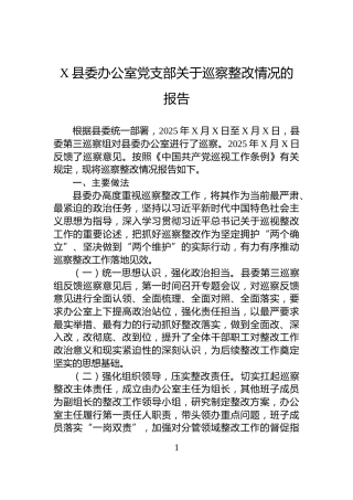 X县委办公室党支部关于巡察整改情况的报告