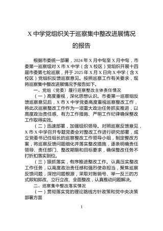 X中学党组织关于巡察集中整改进展情况的报告