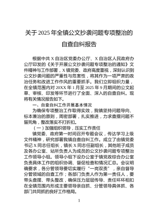 关于2025年全镇公文抄袭问题专项整治的自查自纠报告