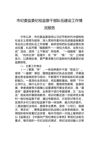 市纪委监委纪检监察干部队伍建设工作情况报告