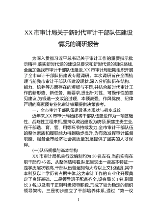 XX市审计局关于新时代审计干部队伍建设情况的调研报告