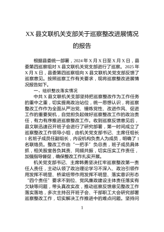 X县文联机关支部关于巡察整改进展情况的报告