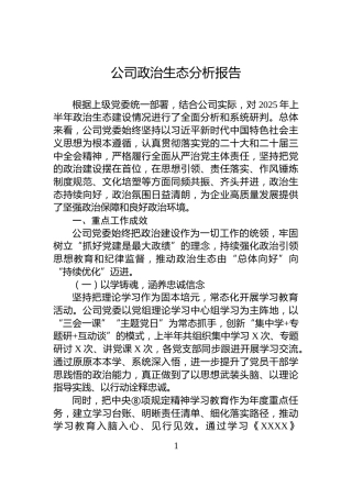 公司政治生态分析报告