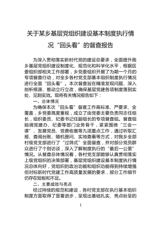 关于某乡基层党组织建设基本制度执行情况“回头看”的督查报告