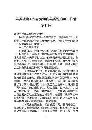 县委社会工作部党组向县委巡察组工作情况汇报