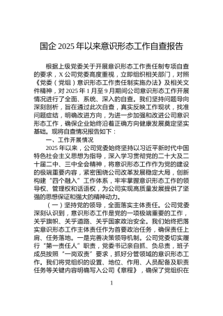 国企2025年以来意识形态工作自查报告