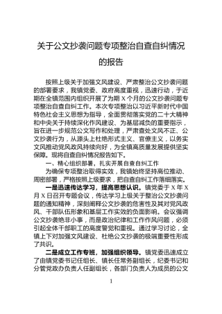 关于公文抄袭问题专项整治自查自纠情况的报告