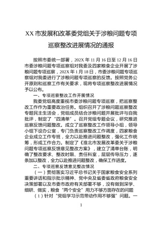 XX市发展和改革委党组关于涉粮问题专项巡察整改进展情况的通报