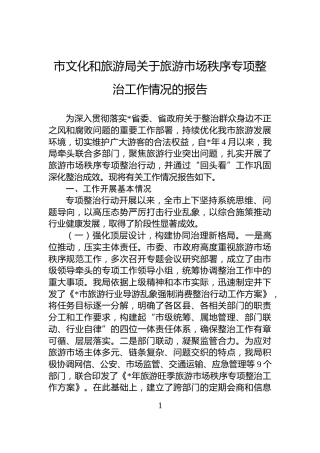 市文化和旅游局关于旅游市场秩序专项整治工作情况的报告