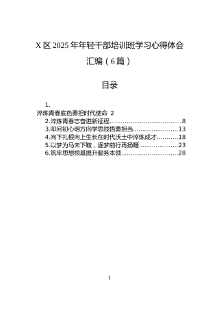 X区2025年年轻干部培训班学习心得体会汇编（6篇）
