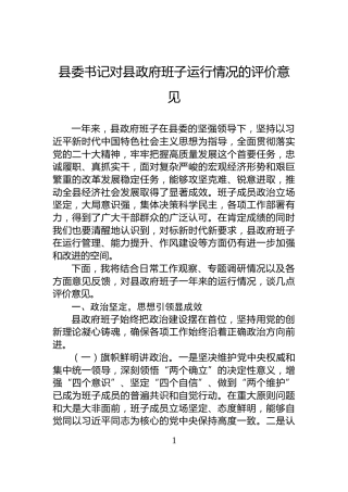 县委书记对县政府班子运行情况的评价意见