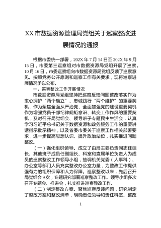 XX市数据资源管理局党组关于巡察整改进展情况的通报