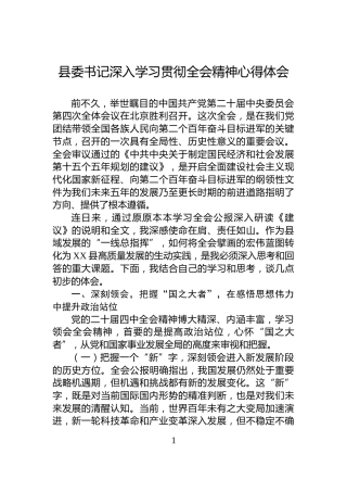 县委书记深入学习贯彻全会精神心得体会