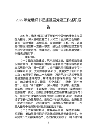 2025年党组织书记抓基层党建工作述职报告