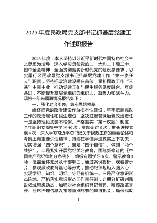 2025年度民政局党支部书记抓基层党建工作述职报告