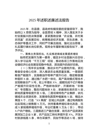 2025年述职述廉述法报告