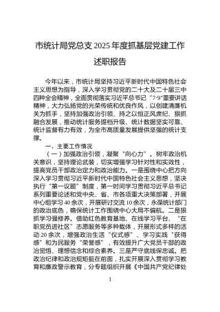 市统计局党总支2025年度抓基层党建工作述职报告
