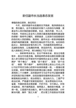 新任副市长当选表态发言