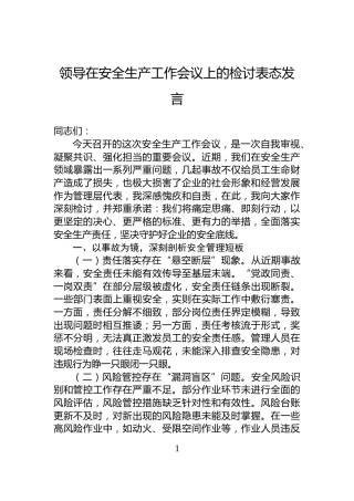 领导在安全生产工作会议上的检讨表态发言