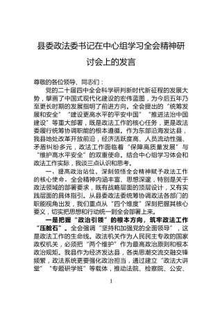 县委政法委书记在中心组学习全会精神研讨会上的发言