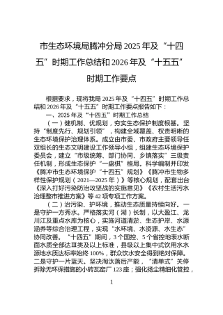 市生态环境局腾冲分局2025年及“十四五”时期工作总结和2026年及“十五五”时期工作要点