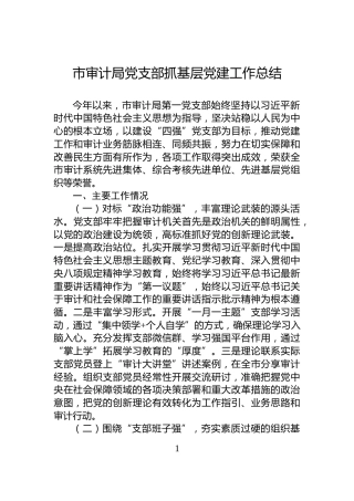 市审计局党支部抓基层党建工作总结