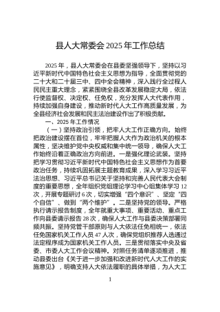 县人大常委会2025年工作总结