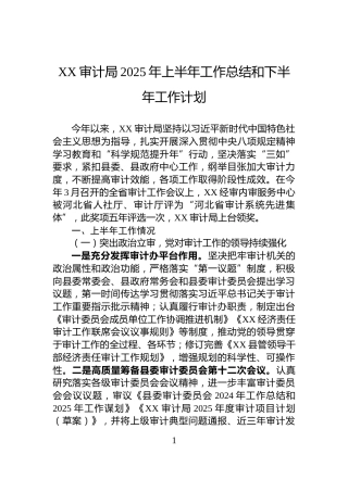 XX审计局2025年上半年工作总结和下半年工作计划