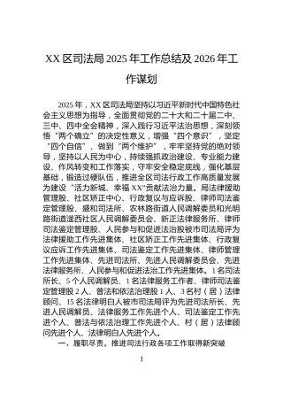 XX区司法局2025年工作总结及2026年工作谋划