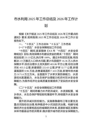 市水利局2025年工作总结及2026年工作计划