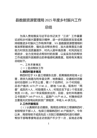 县数据资源管理局2025年度乡村振兴工作总结