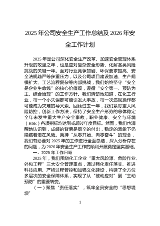 2025年公司安全生产工作总结及2026年安全工作计划