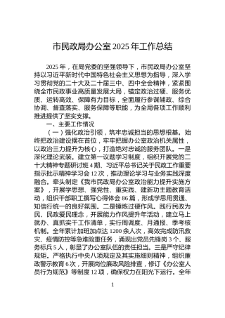 市民政局办公室2025年工作总结