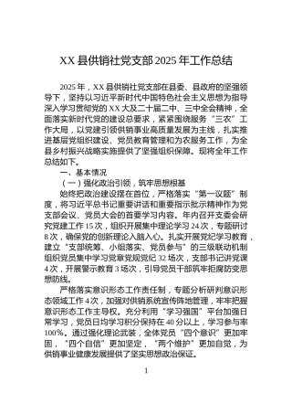 XX县供销社党支部2025年工作总结