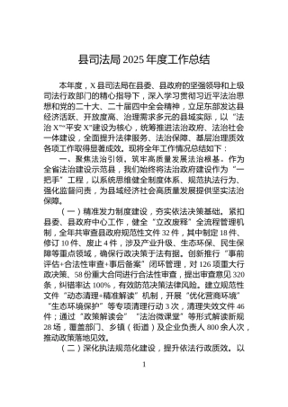 县司法局2025年度工作总结