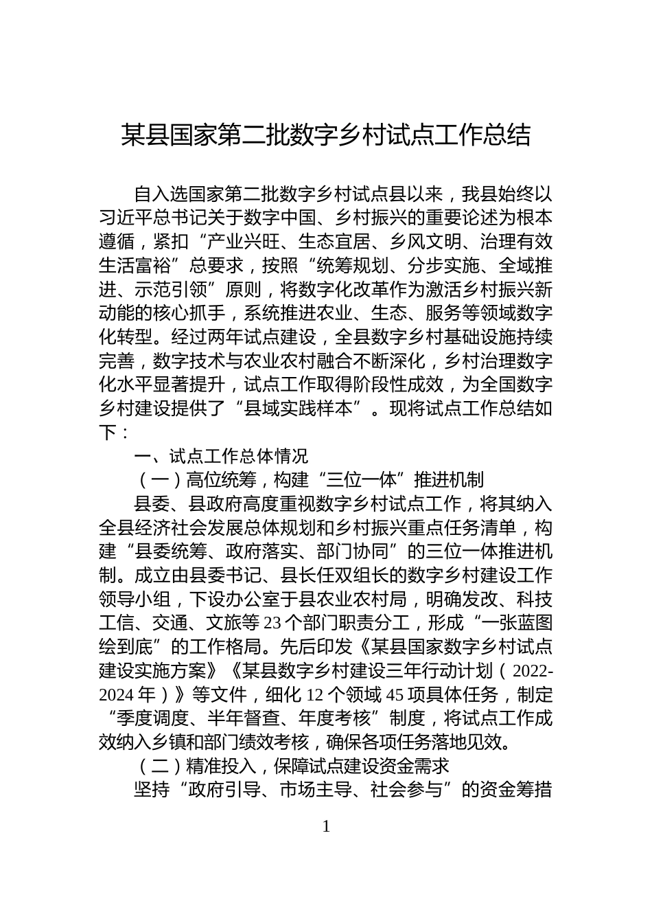 某县国家第二批数字乡村试点工作总结_第1页