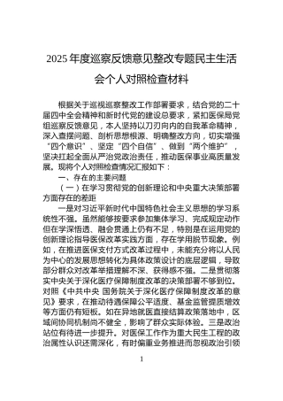 2025年度巡察反馈意见整改专题民主生活会个人对照检查材料