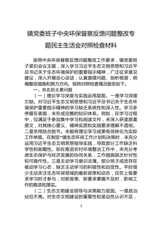 镇党委班子中央环保督察反馈问题整改专题民主生活会对照检查材料