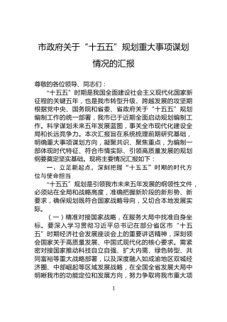 市政府关于“十五五”规划重大事项谋划情况的汇报