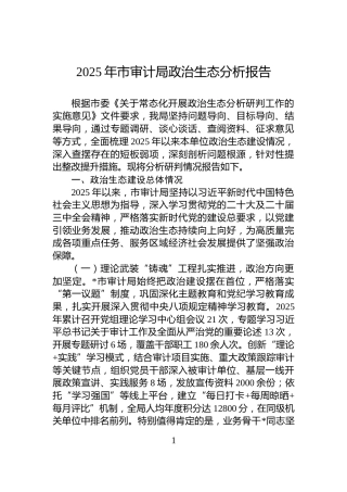 2025年市审计局政治生态分析报告