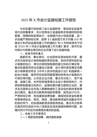 2025年X市会计监督检查工作报告