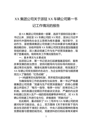 XX集团公司关于派驻XX车辆公司第一书记工作情况的报告