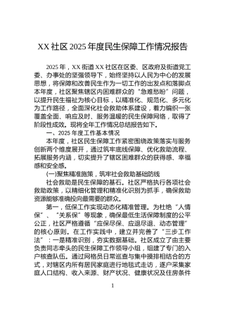 XX社区2025年度民生保障工作情况报告