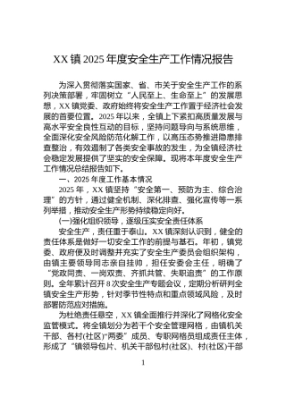 XX镇2025年度安全生产工作情况报告