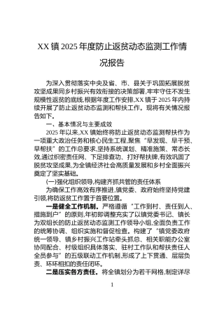 XX镇2025年度防止返贫动态监测工作情况报告