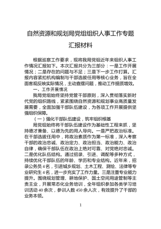 自然资源和规划局党组组织人事工作专题汇报材料