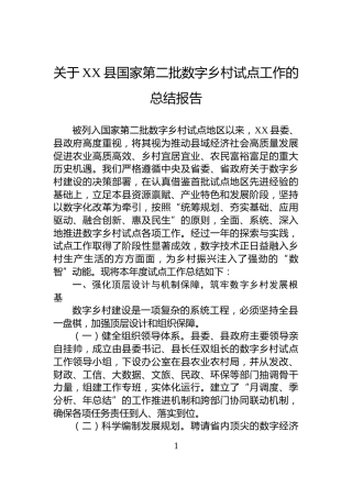 关于XX县国家第二批数字乡村试点工作的总结报告