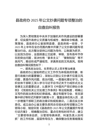 县政府办2025年公文抄袭问题专项整治的自查自纠报告