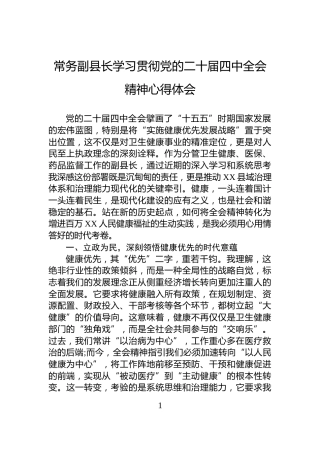 常务副县长学习贯彻党的二十届四中全会精神心得体会